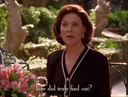 season 2 netflix GIF by Gilmore Girls 