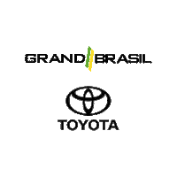 Car Drive Sticker by Grand Brasil