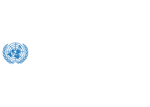 Unv Sticker by UN Volunteers