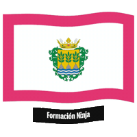 Bandera Andalucia Sticker by Formación Ninja
