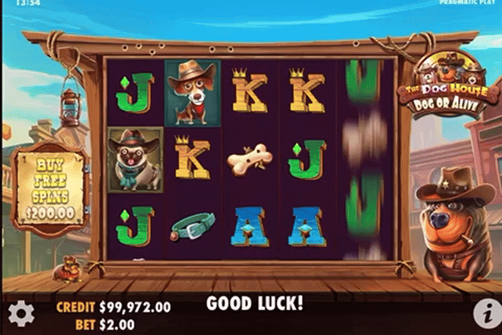 CASIMARUCASINO giphyupload GIF