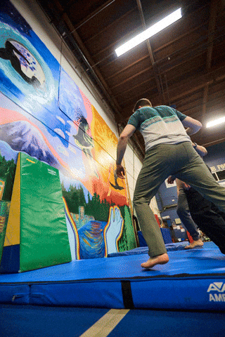 Exercise Flipping GIF by wade.photo