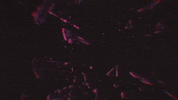 savages GIF by RØYLS