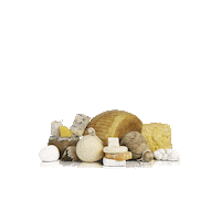 Eataly Mese Formaggi Sticker by EatalyIt