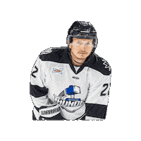 Hockey Sticker by Wichita Thunder
