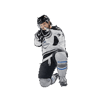 Hockey Sticker by Wichita Thunder