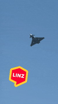 Fighter Attention GIF by Linz News