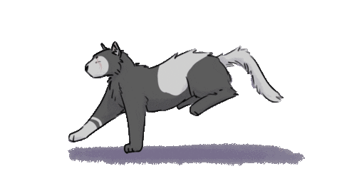 WhitefangisVoid giphyupload cat run running Sticker