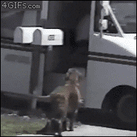 GIF Tooltip