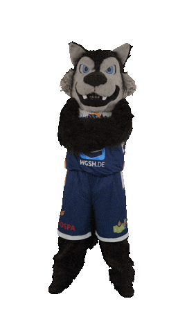 Basketball Wolf Sticker by Rostock Seawolves