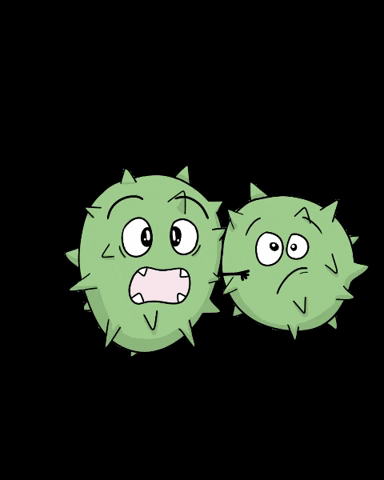 dentaltrooth new look newpost blink GIF