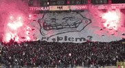 eskisehirspor sticker stickers fan problem GIF