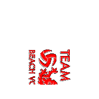 Sport Play Sticker by Aurora Beach Volleyball