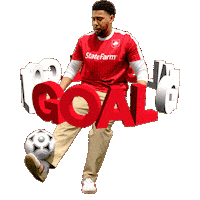 World Cup Win Sticker by State Farm