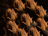 Zazie Beetz Smile GIF by GIPHY IRL