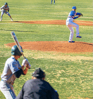 Baseball GIF by TCABB