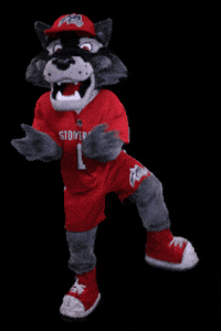 Long Island College GIF by Stony Brook University