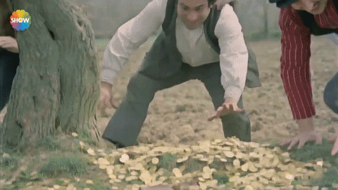 Yesilcam GIF by Show TV