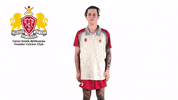 CaseySouthMelbourneCC swans csmcc caseysouthswans GIF
