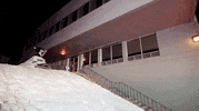 no big deal success GIF by EchoBoom Sports