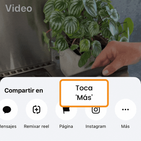 christinenguyenb1ca54452f7249dabcd4eb7ee46680c7 giphyupload GIF