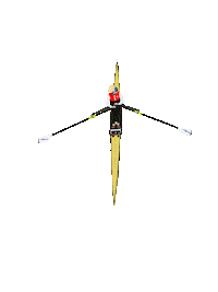 Germany Rowing Sticker by UlfBo