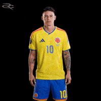 Fifa World Cup Colombia GIF by Respective