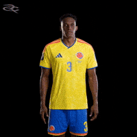 Fifa World Cup Colombia GIF by Respective