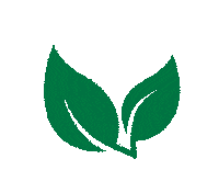 dhlusa leaf leaves go green gogreen Sticker