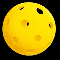 Pickleball Pickler GIF