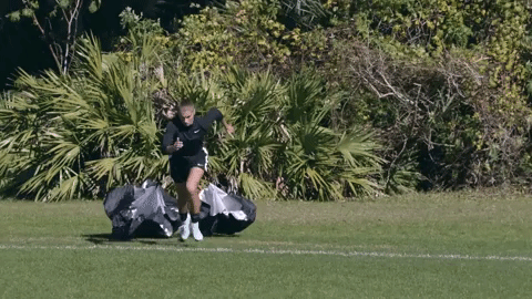 GIF by David