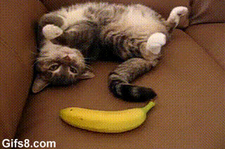 banana scare GIF