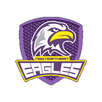 Nyc Eagles Sticker by Touch Football Australia