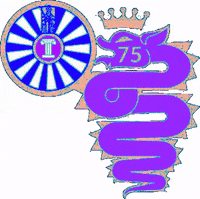 Gestore_Materiali_Nazionale rt75 round table milano 5 giornate roundtablemilano5giornate GIF