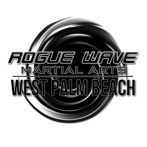 RougeWavePalmBeach giphyupload roguewave GIF