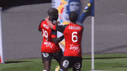 GIF by Ligue 1