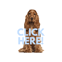 Dog Click Sticker by people who kaer