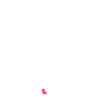 Butterflies Flies Sticker