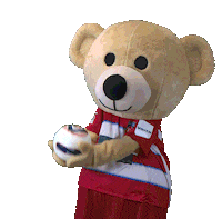 Kids Club Ball Sticker by 1. FC Heidenheim 1846