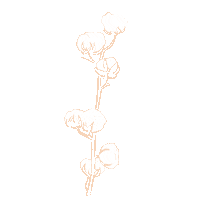 Art Flower Sticker