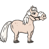 Horse Pony Sticker by Kentucky Horsewear