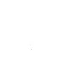 Horses Cheval Sticker by Kentucky Horsewear