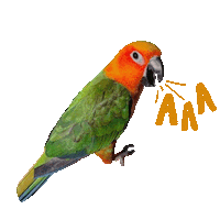 Marianrae Sticker