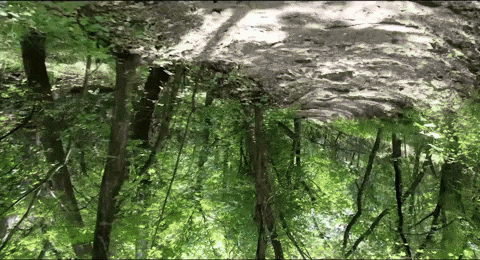 Alice In Wonderland Punk GIF by Marquis of Vaudeville