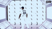 White Sox Robert GIF by NBC Sports Chicago