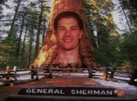 Ice Hockey GIF