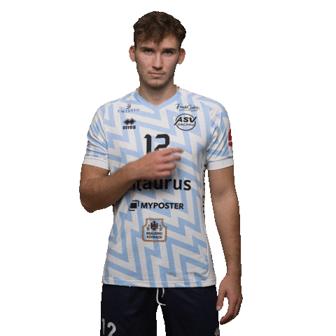 Asvdachau Sticker by Volleyball Bundesliga