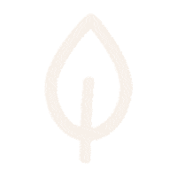 houseofessence green plant leaf sustainability Sticker