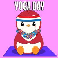 GIF by Pudgy Penguins