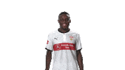 happy vfb stuttgart Sticker by Bundesliga